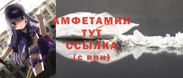 твердый Богородицк