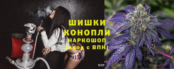 твердый Богородицк