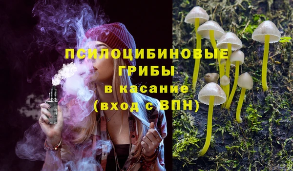 спайс Богданович