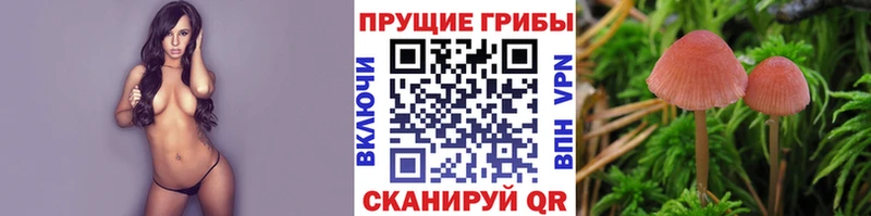 ссылка на мегу рабочий сайт  Качканар  Галлюциногенные грибы Magic Shrooms  купить закладку 
